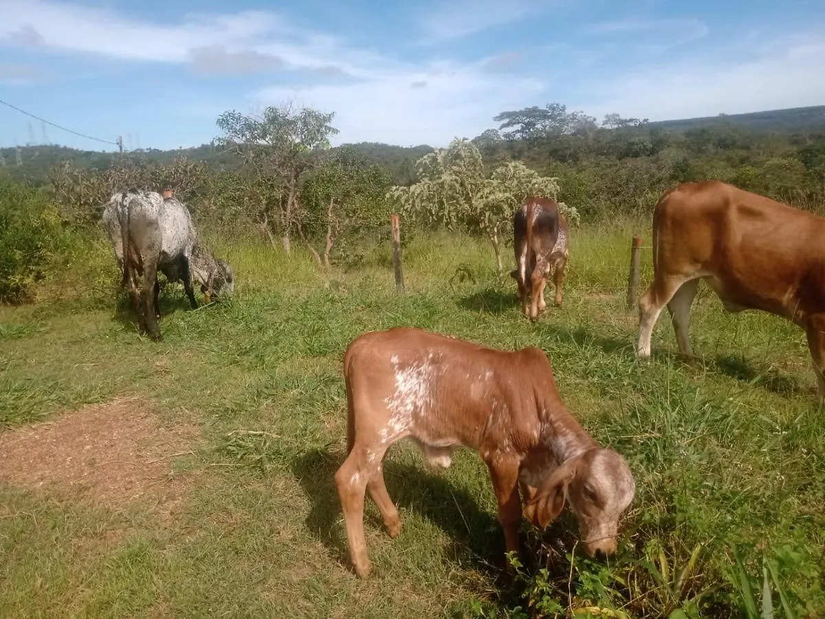 Holiday home Chale Aconchegante, Pertinho Da Cidade E Conectada A Natureza Brasilia